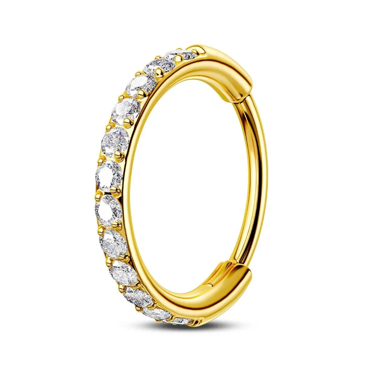 22G Micro Paved CZ Stone Hinged Segment Nose Ring
