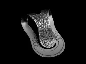 Big Bend Poe Money Clip