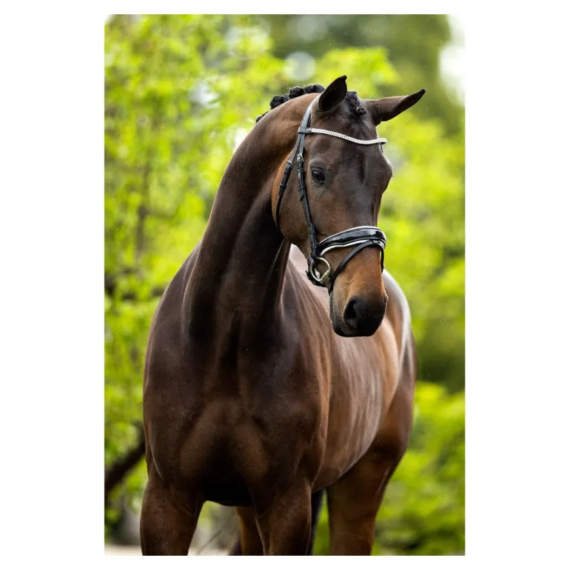 BR Plymouth black leather rolled snaffle bridle