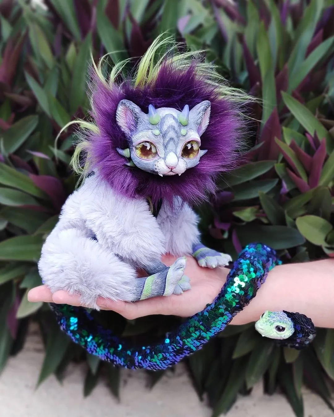 Chimera – Purple