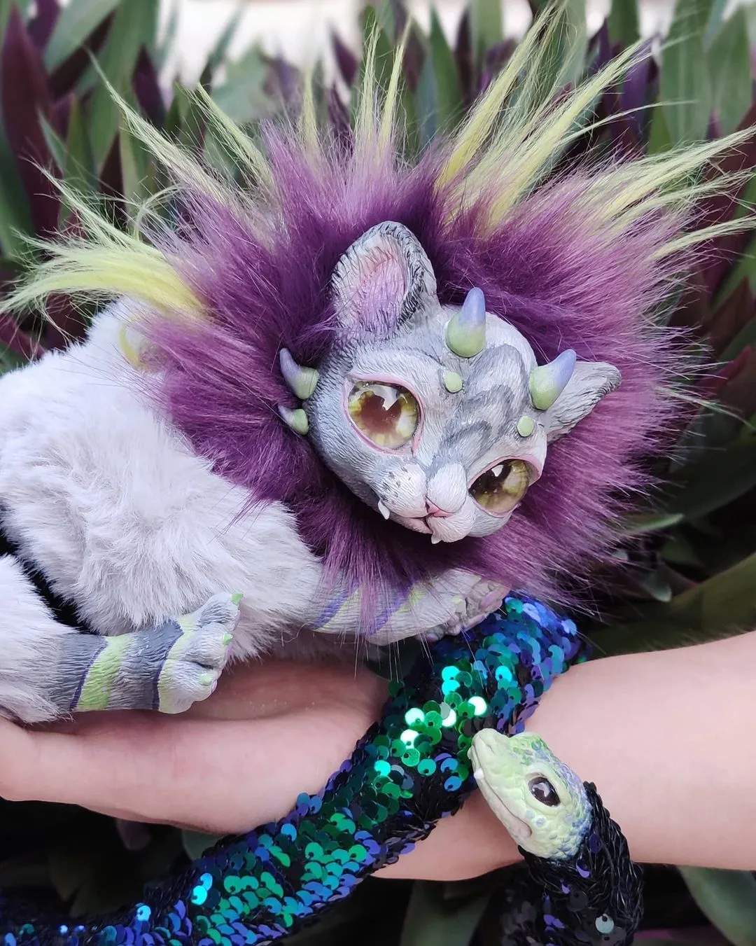 Chimera – Purple