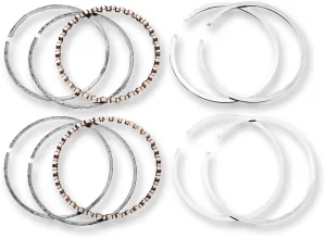 Hastings 2M6164 Moly Ring Set - Standard Bore