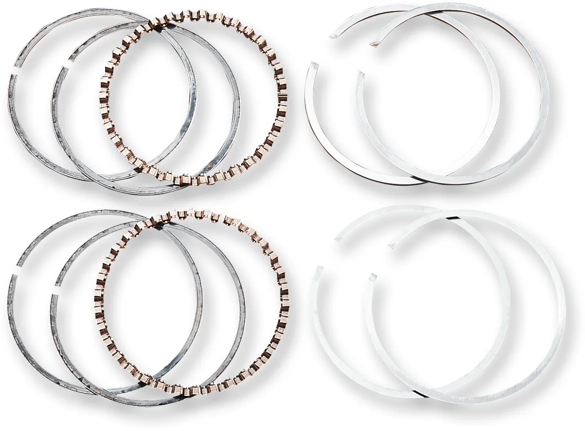 Hastings 2M6164 Moly Ring Set - Standard Bore