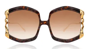 LA VIE EN ROSE-Honey Tortoise