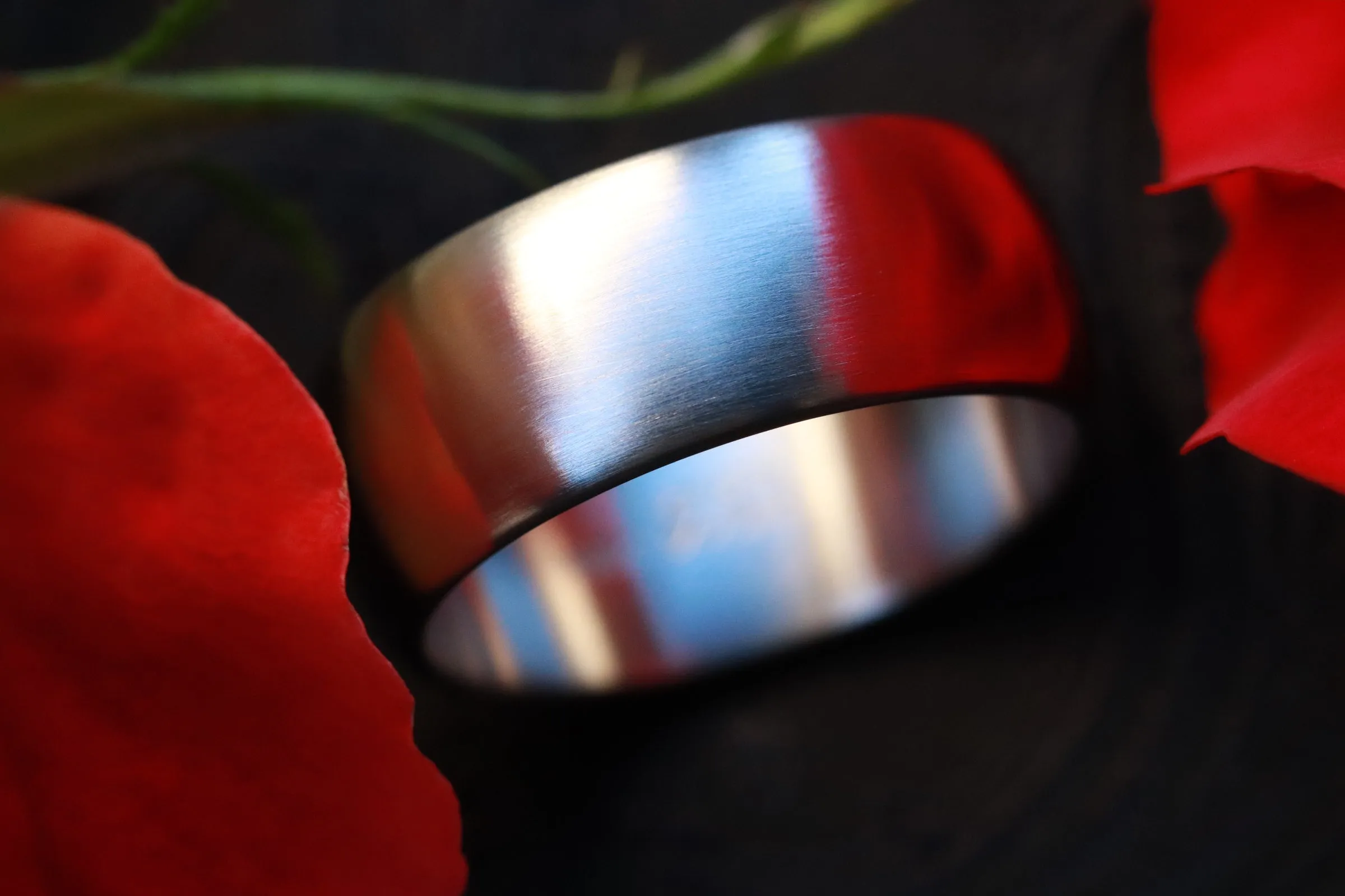 Men's Platinum wedding band