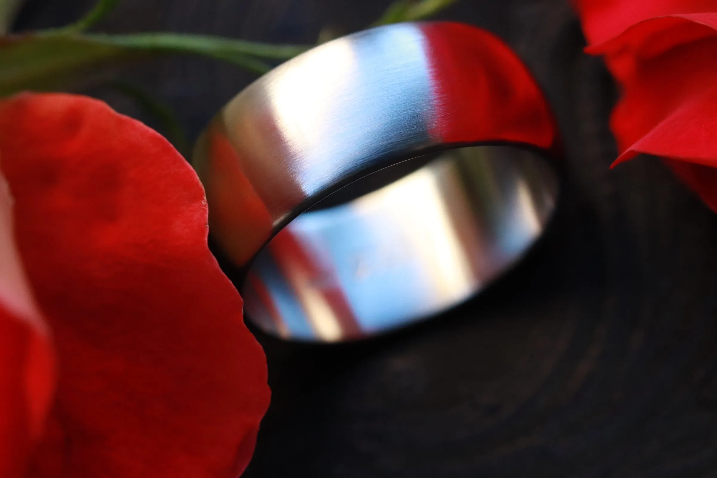 Men's Platinum wedding band