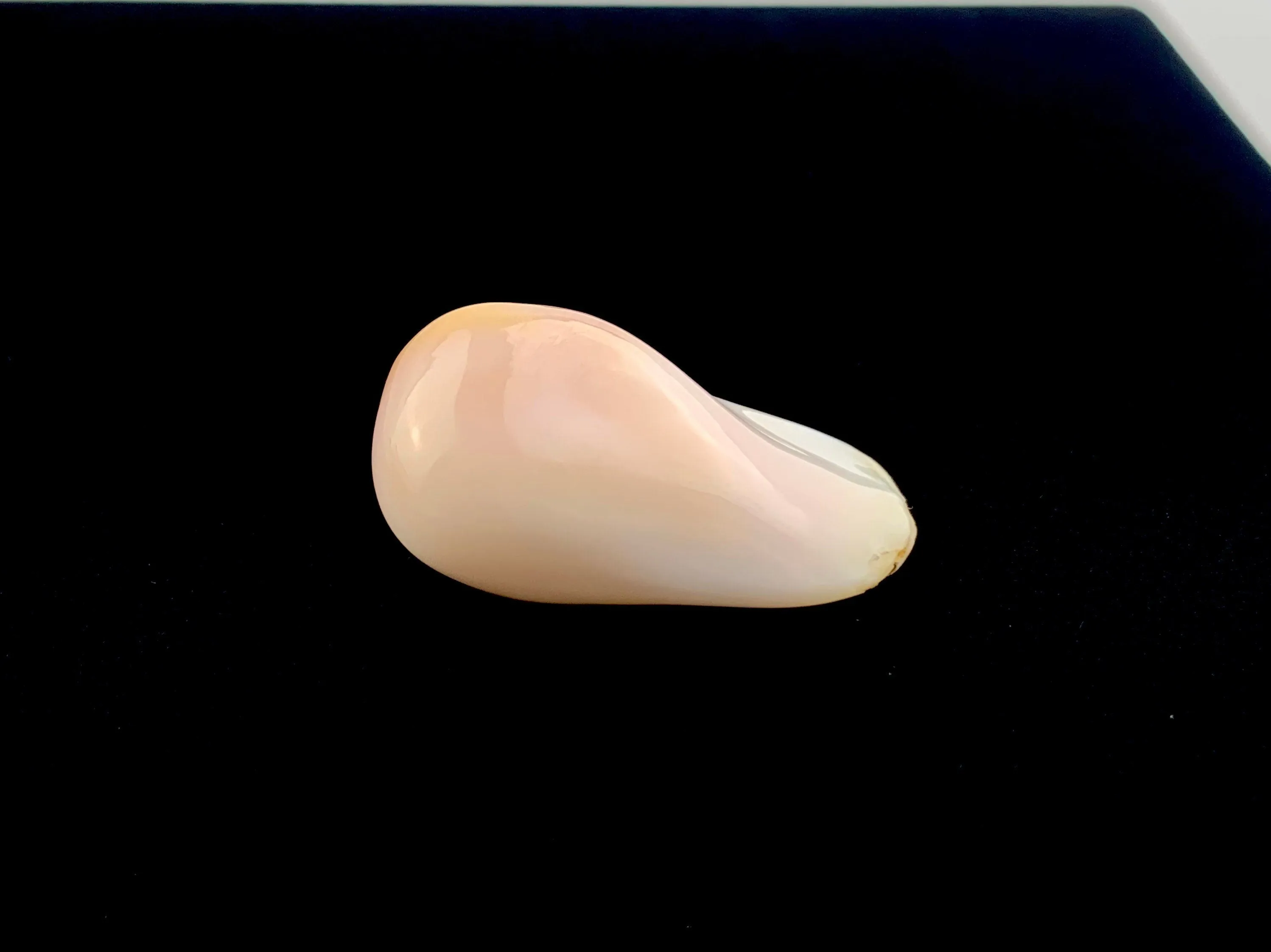 Natural Conch Loose Pearl 40ct #A1