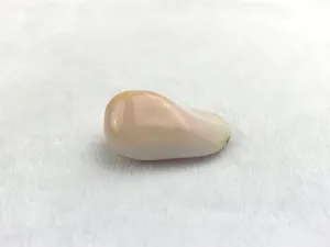 Natural Conch Loose Pearl 40ct #A1