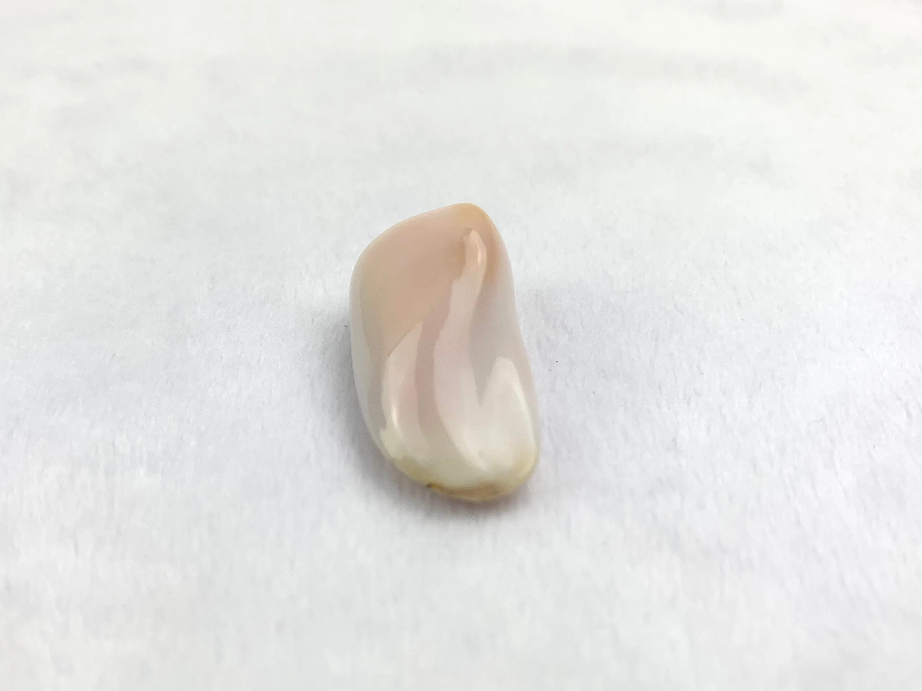 Natural Conch Loose Pearl 40ct #A1