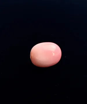 Natural Conch Pearl Loose 11.46ct #99