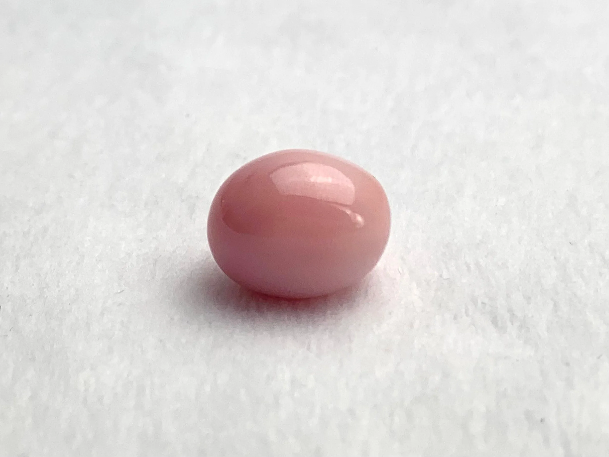 Natural Conch Pearl Loose 11.46ct #99