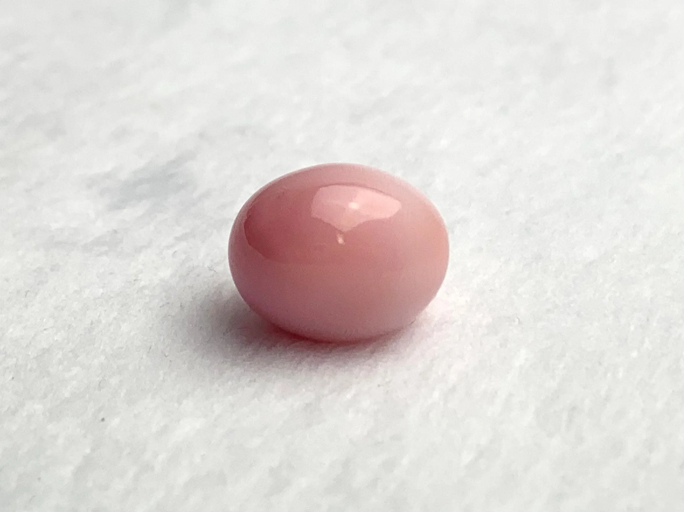 Natural Conch Pearl Loose 11.46ct #99
