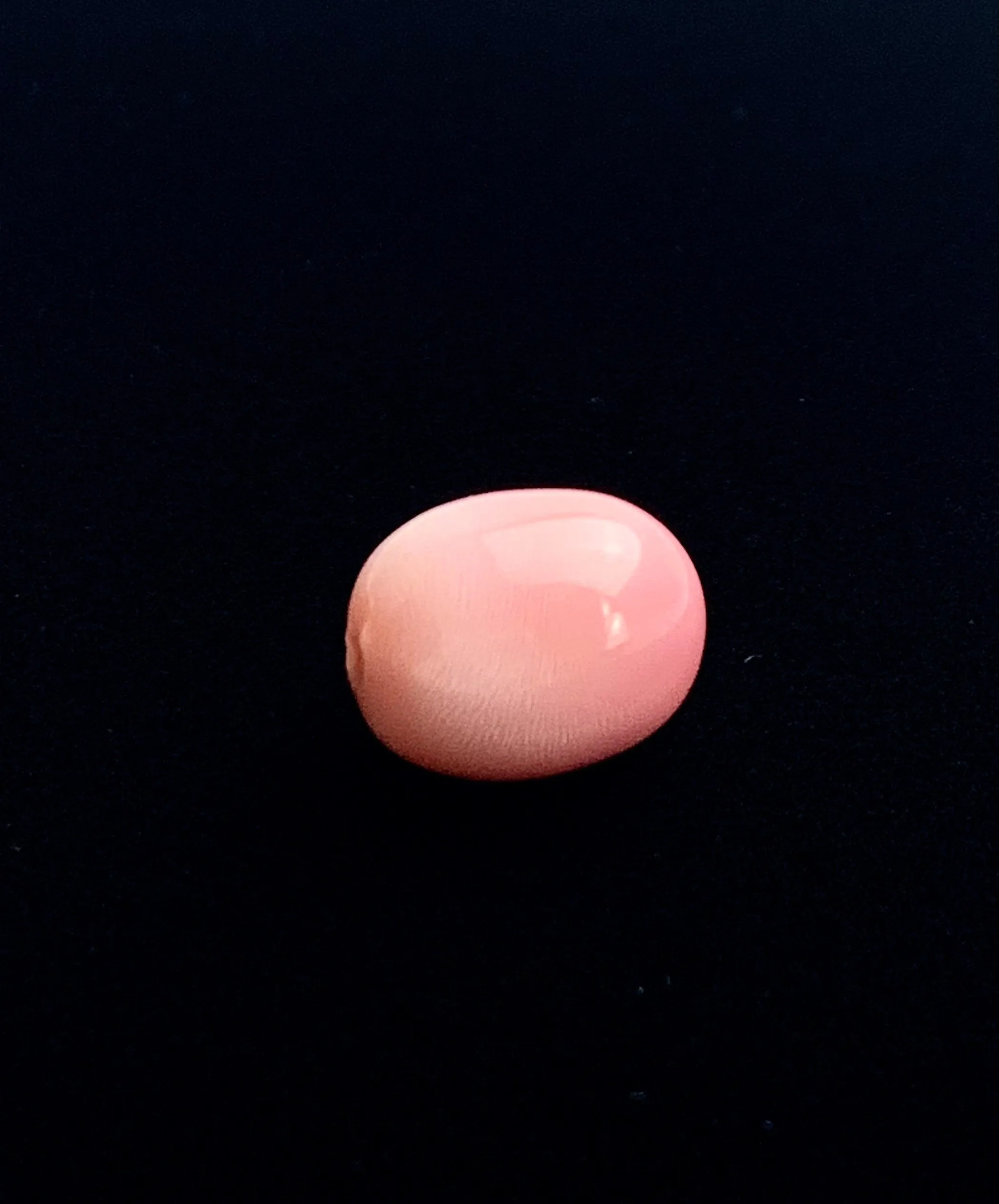 Natural Conch Pearl Loose 11.46ct #99