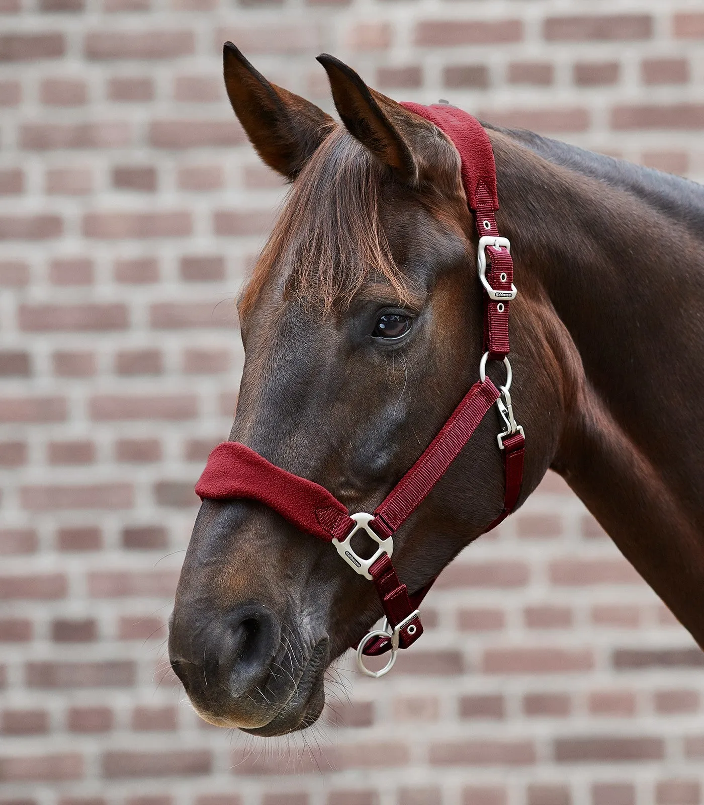 Premium Halter Soft by Waldhausen
