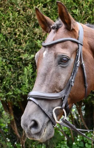Rhinegold pro-anatomical flash bridle FREE POSTAGE❤️