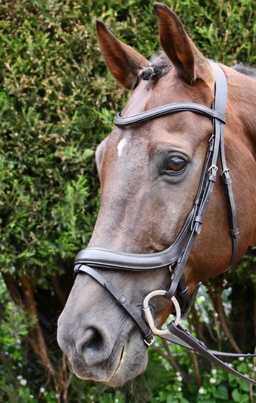 Rhinegold pro-anatomical flash bridle FREE POSTAGE❤️