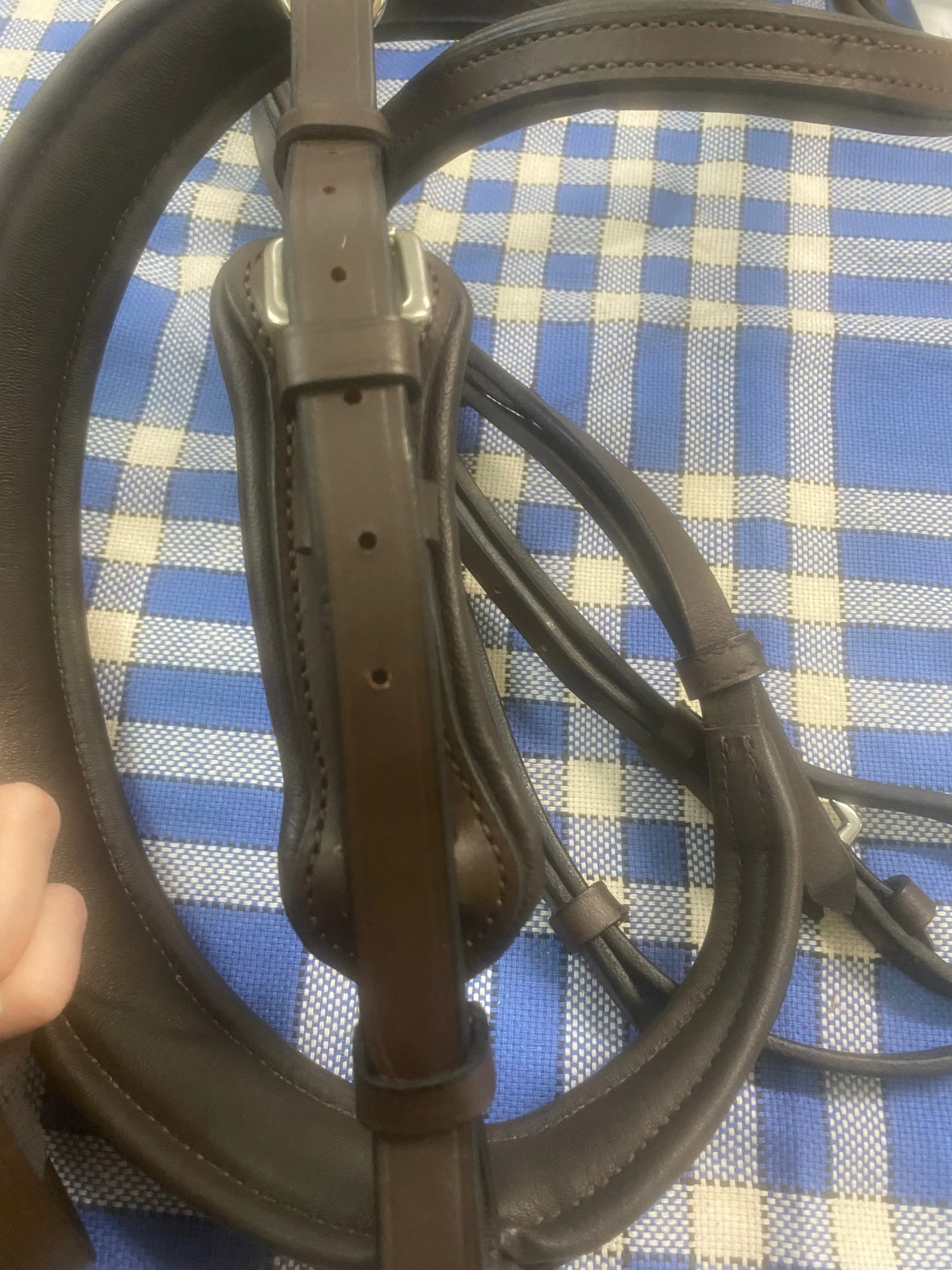 Rhinegold pro-anatomical flash bridle FREE POSTAGE❤️