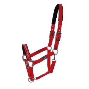Schockemohle Memphis Style Halter II True Red