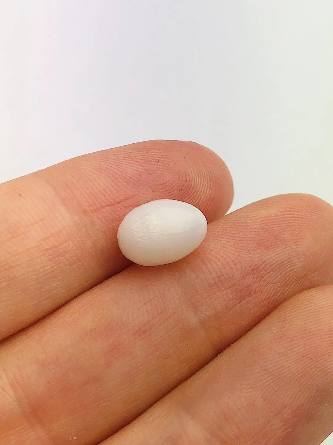 Tridacna White Clam Pearl Loose 10.63mm x 7.59mm No. 32