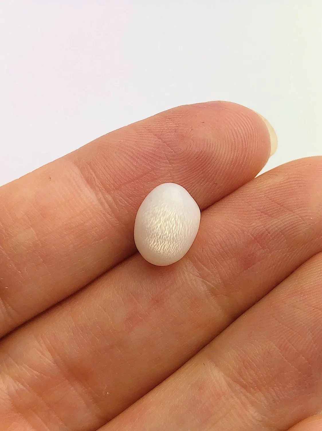 Tridacna White Clam Pearl Loose 10.63mm x 7.59mm No. 32