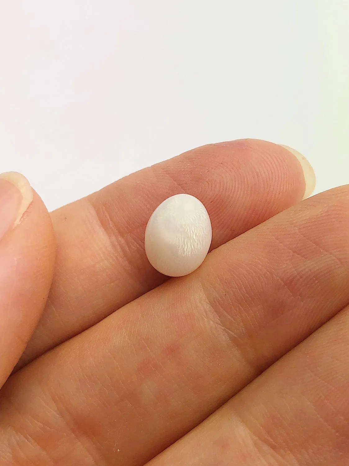 Tridacna White Clam Pearl Loose 10.63mm x 7.59mm No. 32