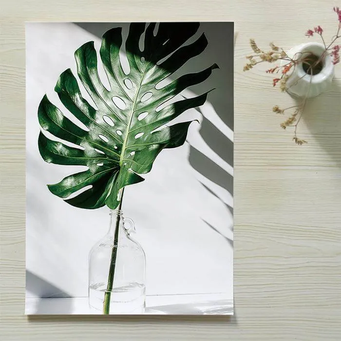 Tropical Leaf