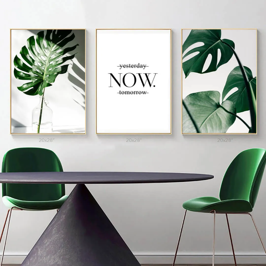 Tropical Leaf