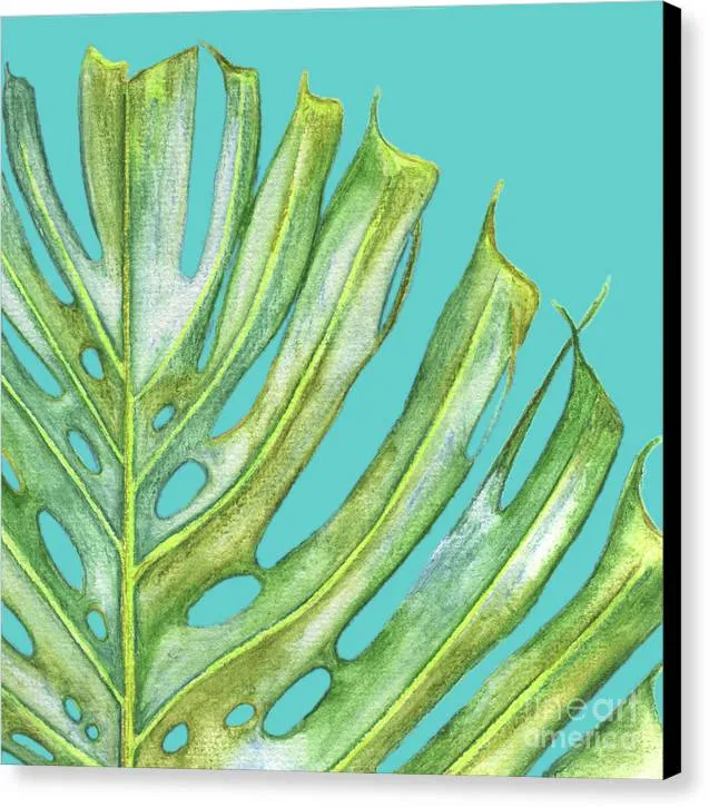 Tropical Monstera Leaf  - Canvas Print
